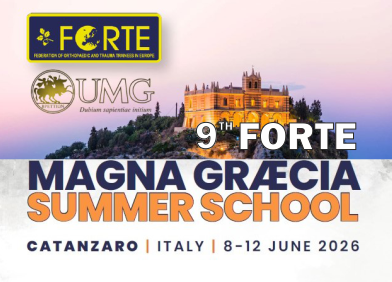 forte 9th summer school – main